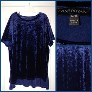 Lane Bryant Blue Velvet shirt